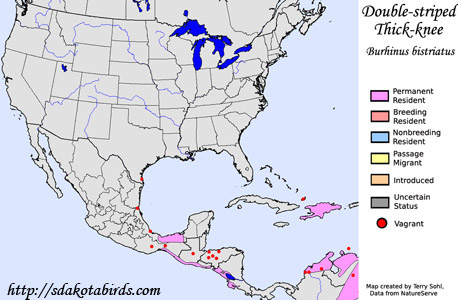 Double-striped Thick-knee - Range Map