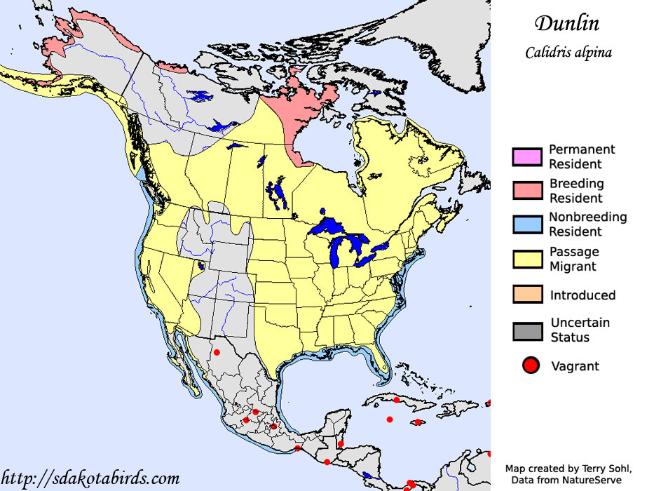 Dunlin - Range Map