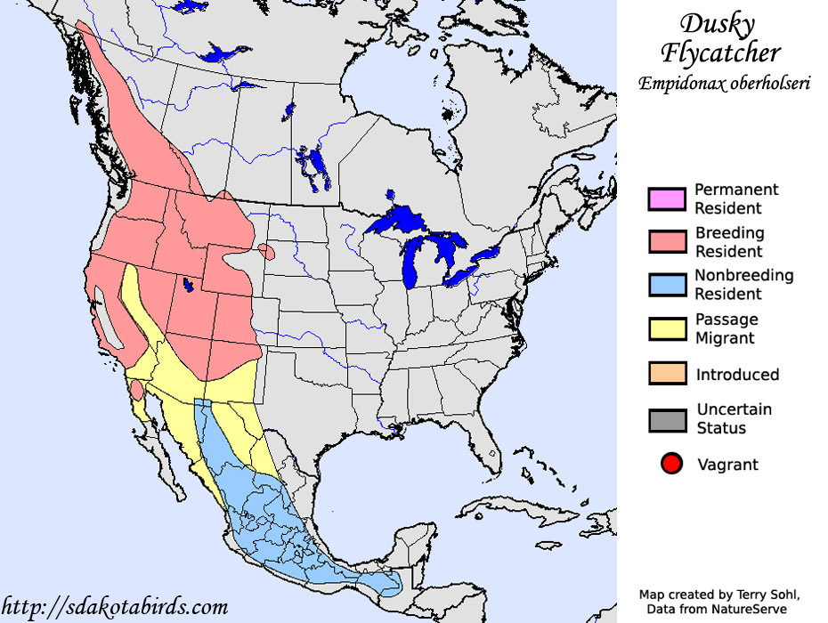 Dusky Flycatcher - Range Map