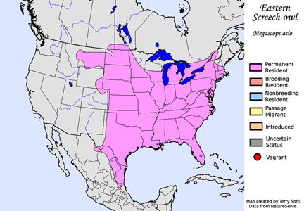 Eastern Screech Owl - Range Map