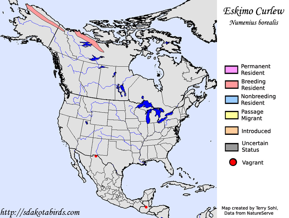 Eskimo Curlew - Range Map