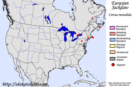 Eurasian Jackdaw - Range Map