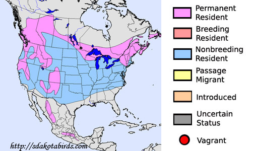 Evening Grosbeak - Species Range Map