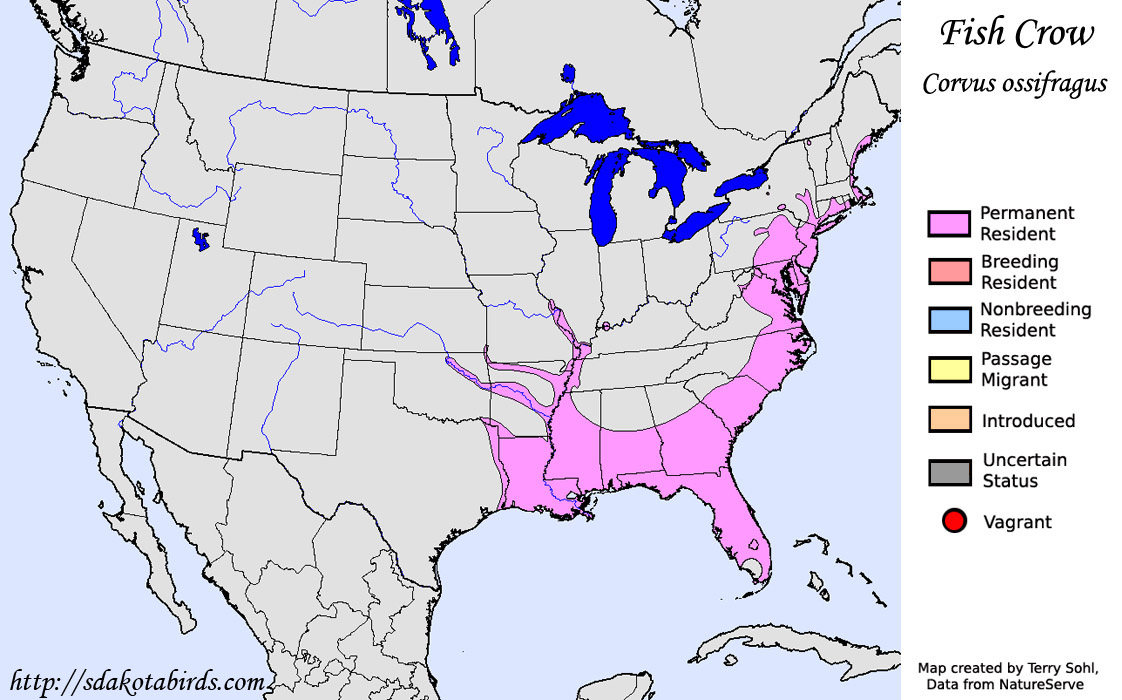 Fish Crow - North American Range Map