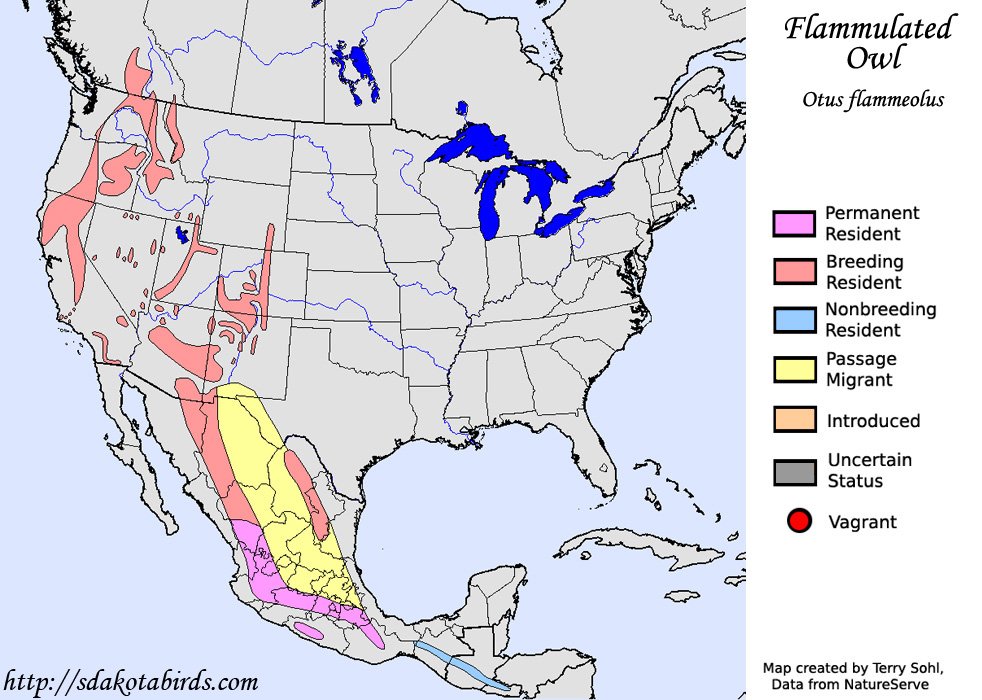 Flammulated Owl - Range Map