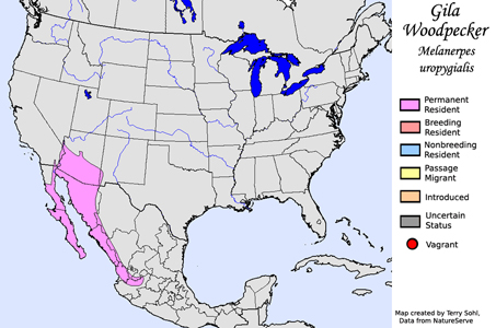 Gila Woodpecker range map
