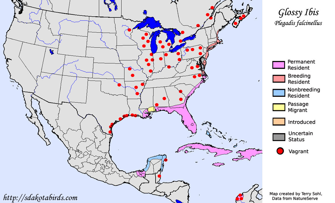 Glossy Ibis - Range Map
