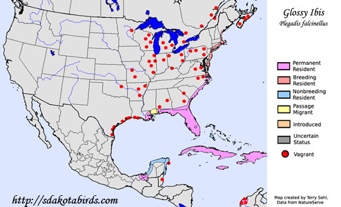 Glossy Ibis range map