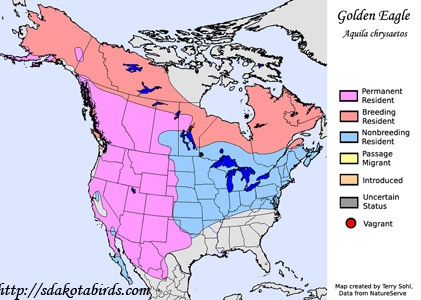Golden Eagle range map