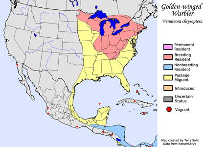 Golden-winged Warbler range map