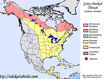 Gray-cheeked Thrush range map