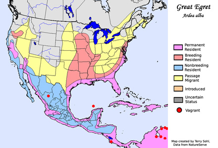 Great Egret range map
