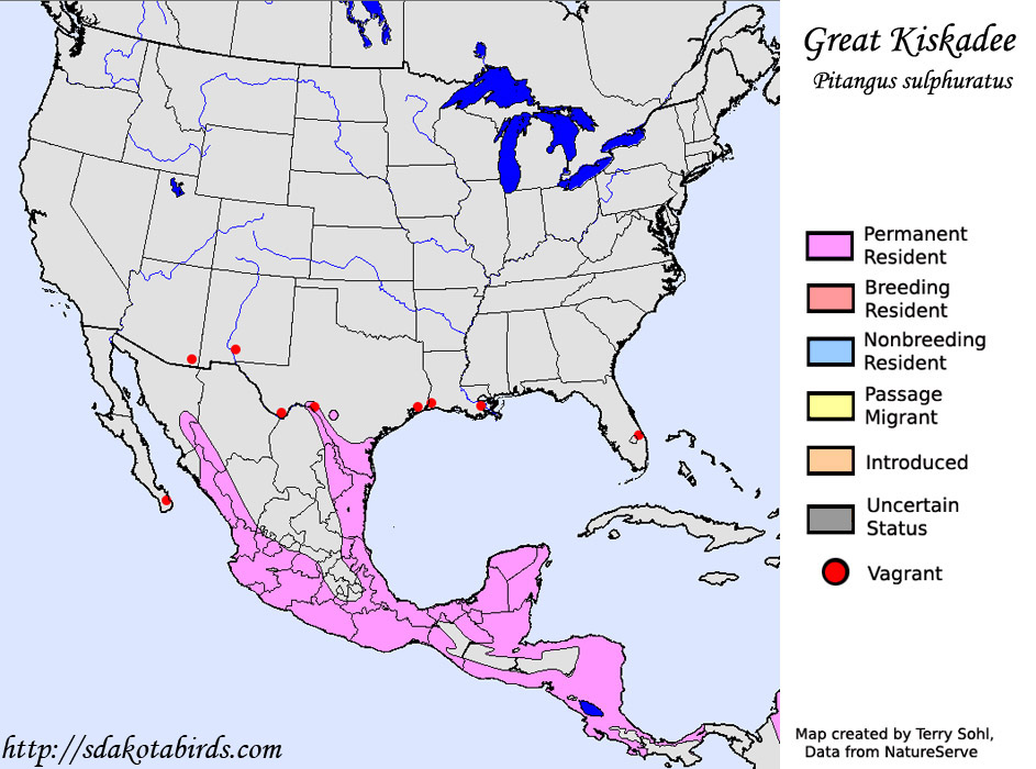 Great Kiskadee - Range Map