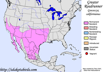 Greater Roadrunner range map