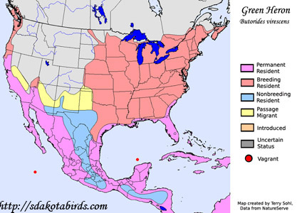 Green Heron range map