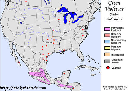 Mexican Violetear range map