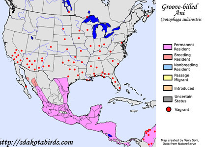 Groove-billed Ani range map