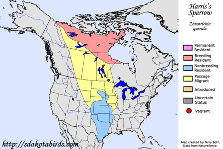Harris's Sparrow range map