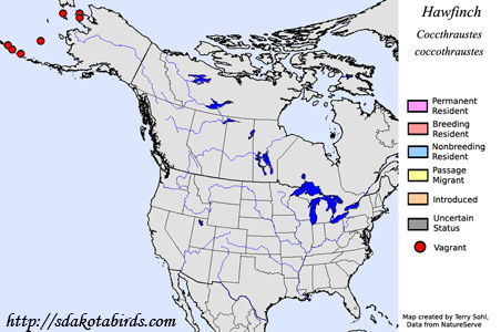 Hawfinch range map
