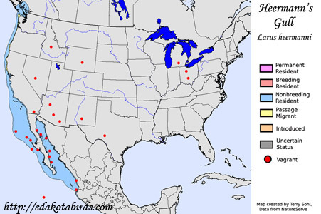 Heermann's Gull range map