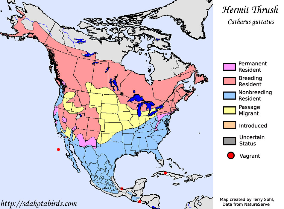 Hermit Thrush - Range Map