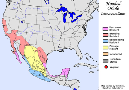 Hooded Oriole range map