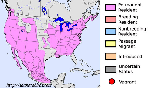 House Finch - Range Map