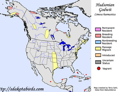 Hudsonian Godwit range map