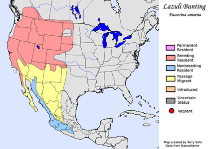 Lazuli Bunting - Range Map