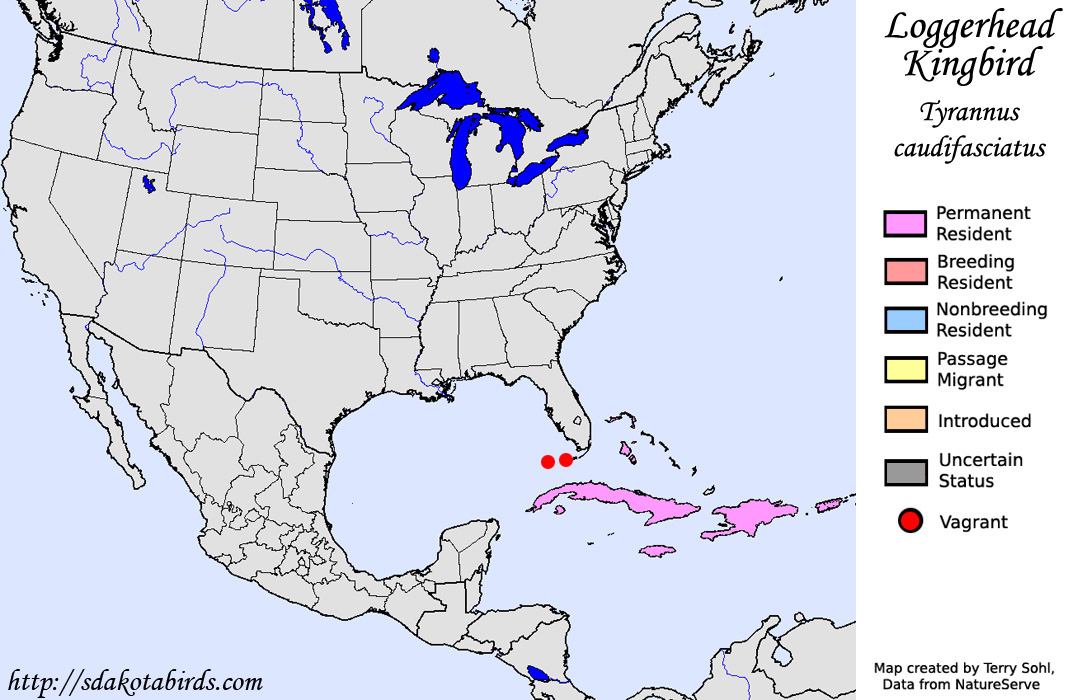 Loggerhead Kingbird - North American Range Map