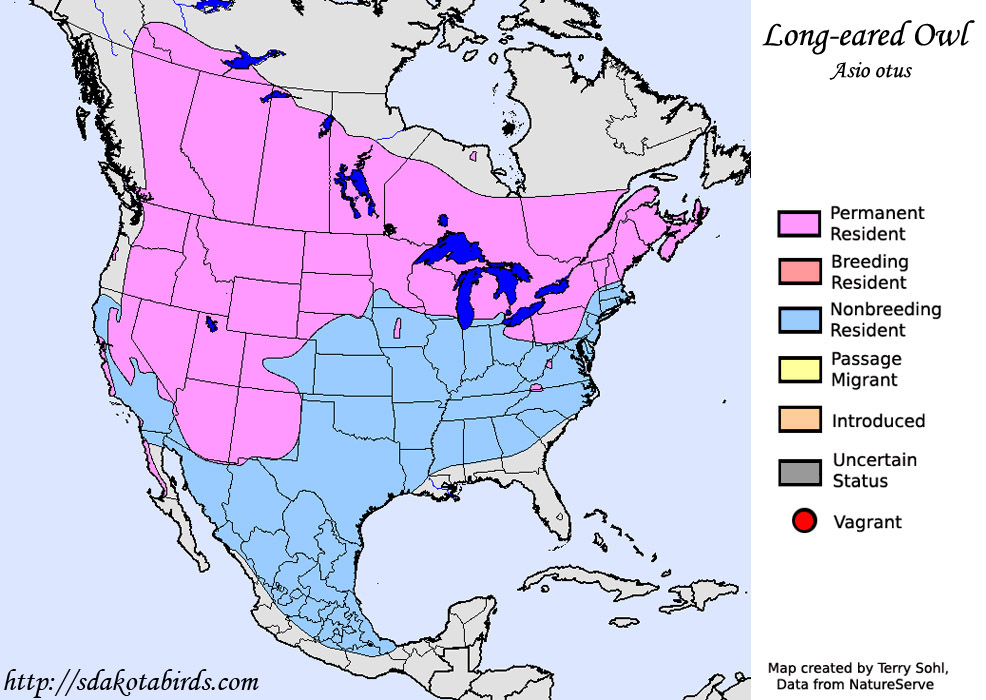 Long-eared Owl - Range Map