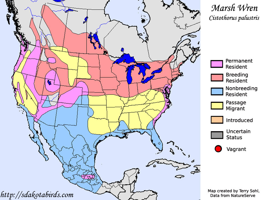 Marsh Wren - Range Map