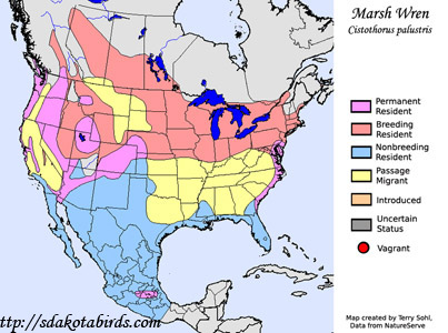 Marsh Wren - Range Map