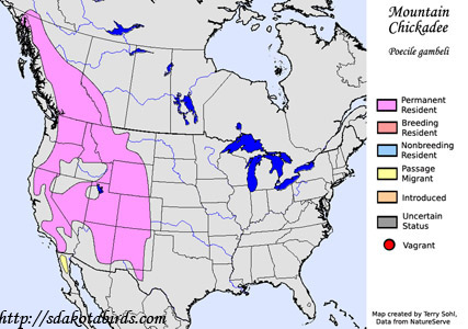 Mountain Chickadee - Range Map