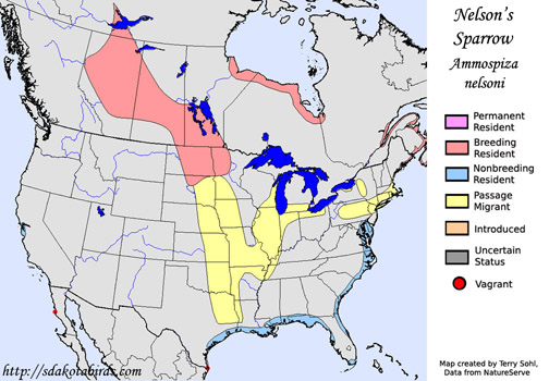 Nelson's Sharp-tailed Sparrow - Range Map