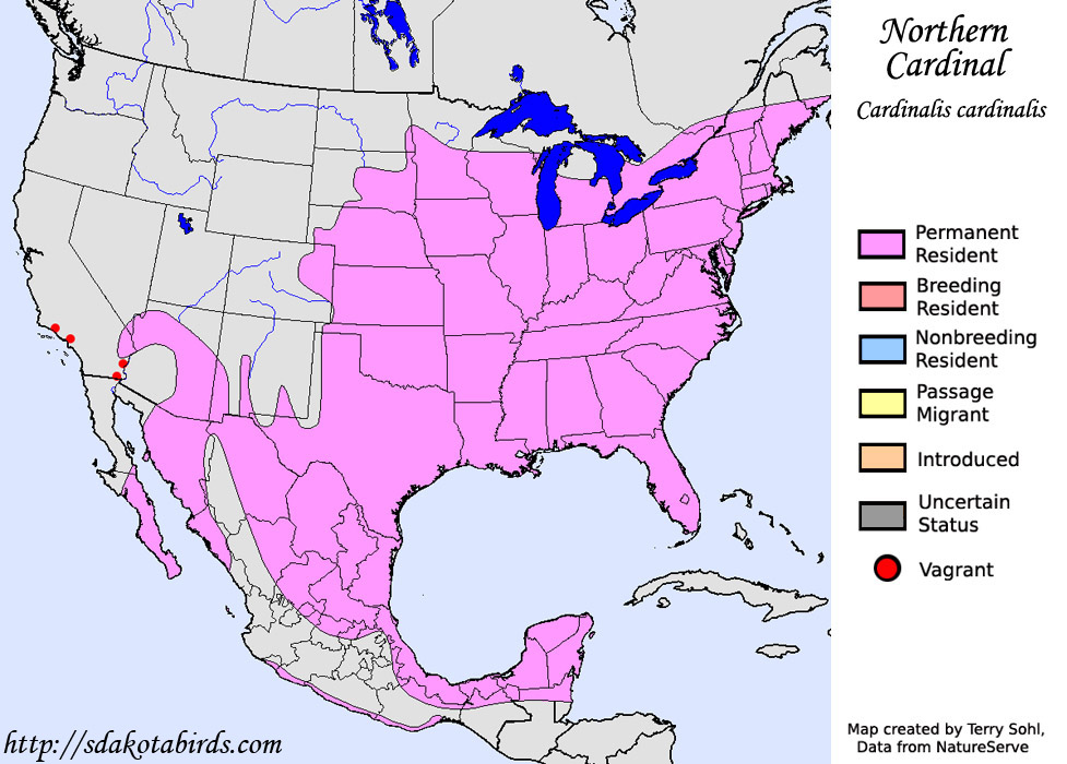 Northern Cardinal - Cardinalis cardinalis - Range Map
