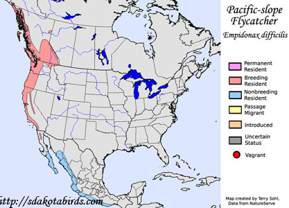 Pacific-slope Flycatcher - Range Map