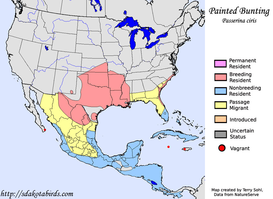 Painted Bunting - Range Map