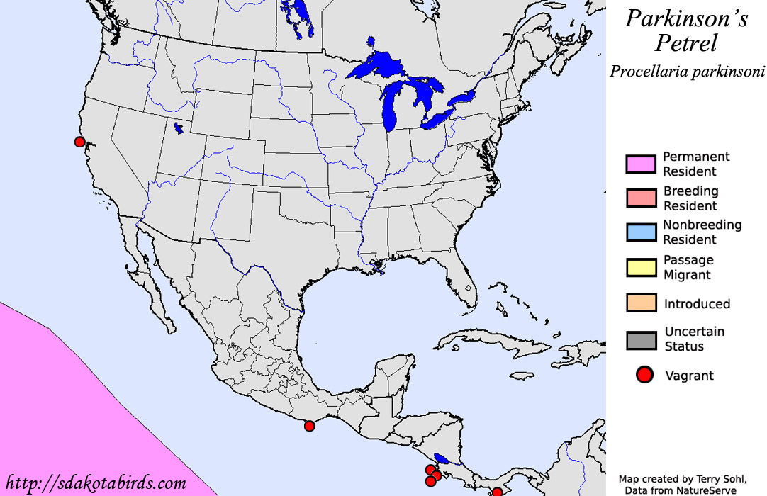 Parkinson's (Black) Petrel - North American Range Map