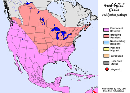 Pied-billed Grebe - Range map