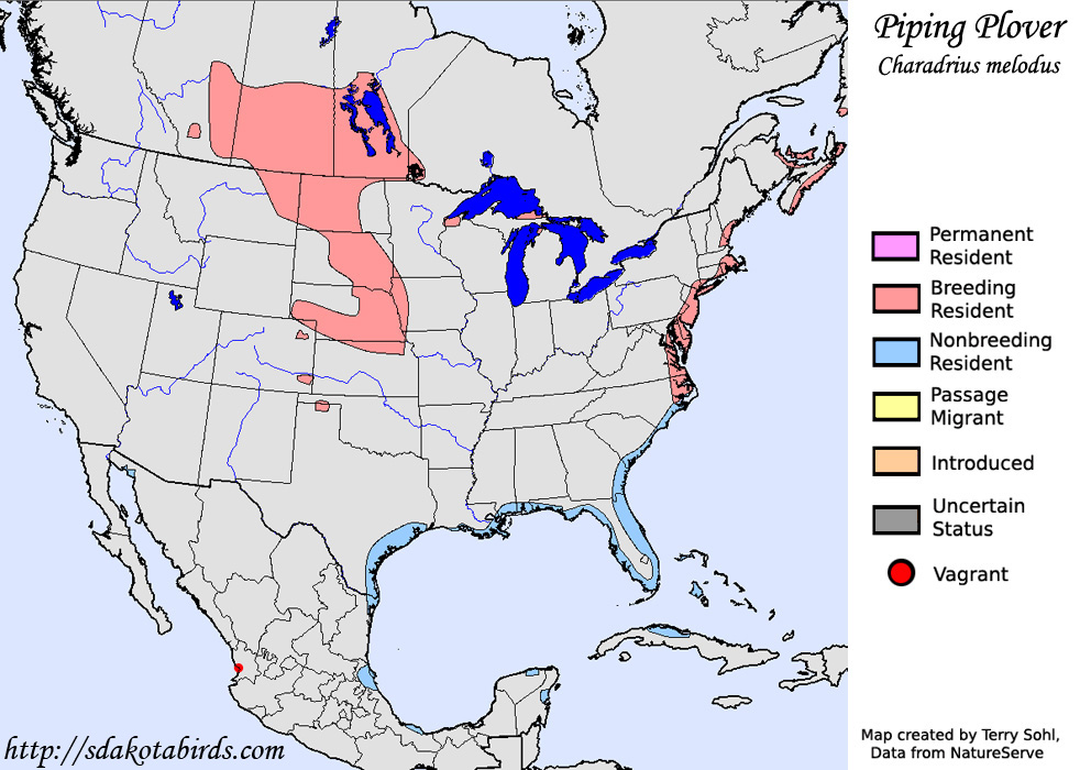 Range Map - Piping Plover