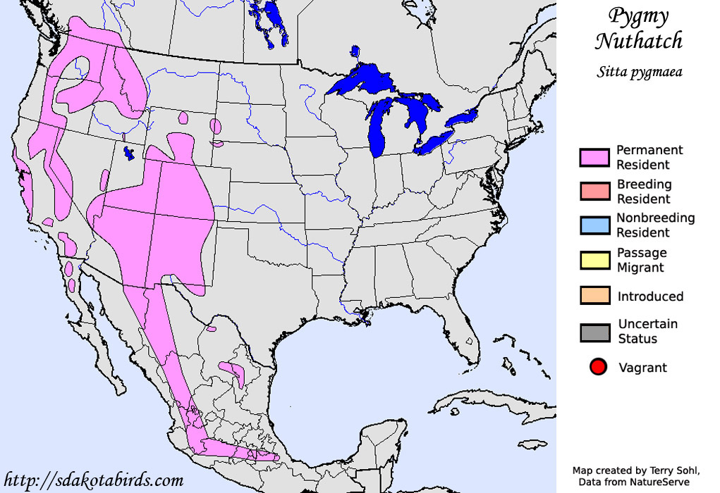 Pygmy Nuthatch - Range Map