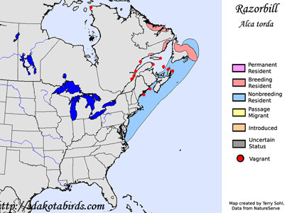 Razorbill - Range Map