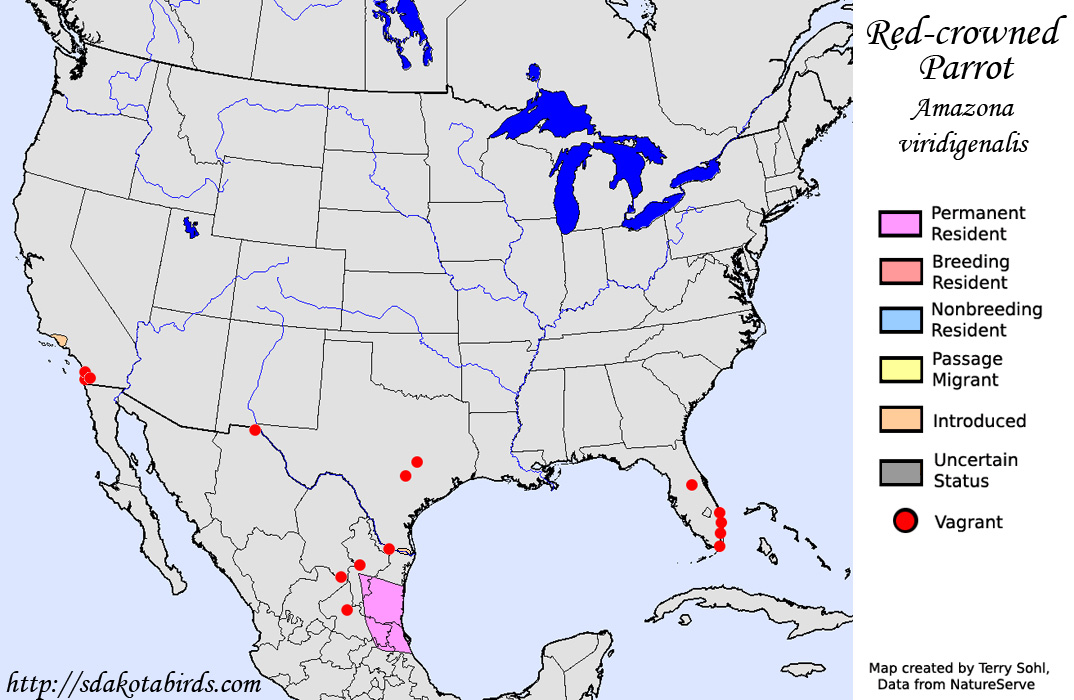 Red-crowned Parrot - Range Map