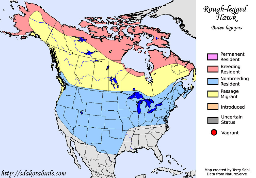 Rough-legged Hawk - Range Map