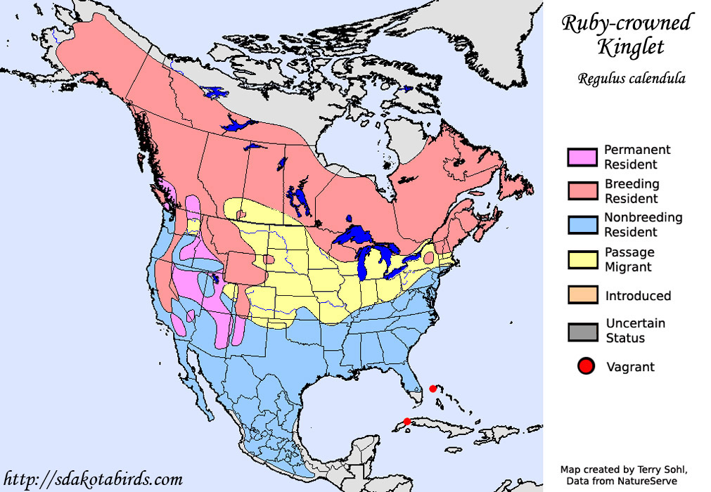 Ruby-crowned Kinglet - Range Map