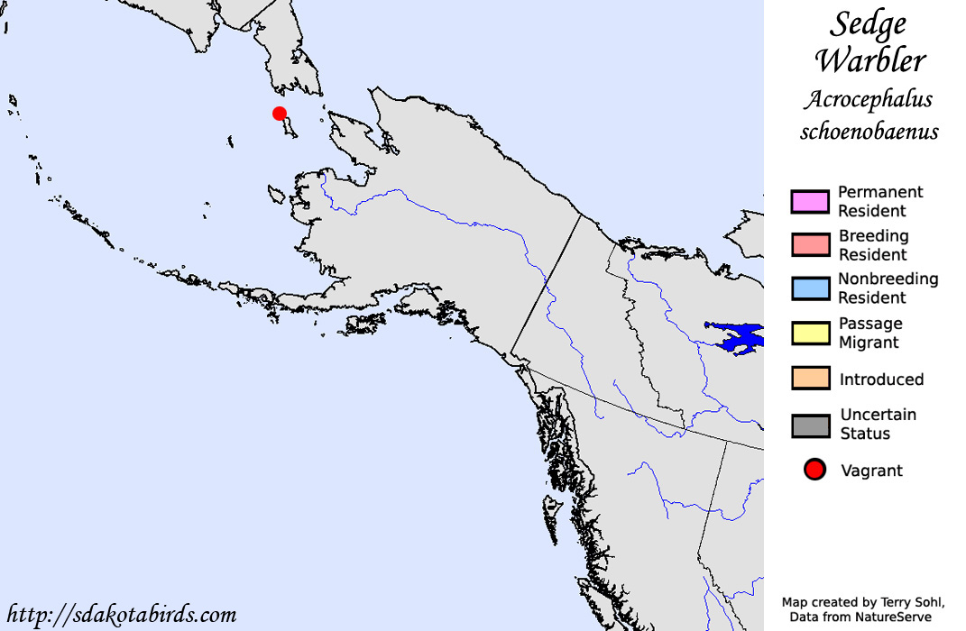Sedge Warbler - North American Range Map