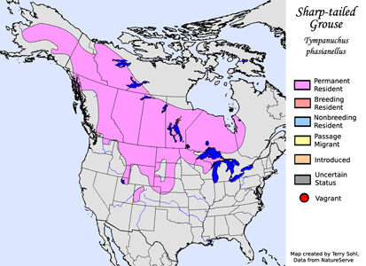 Sharp-tailed Grouse - Range Map