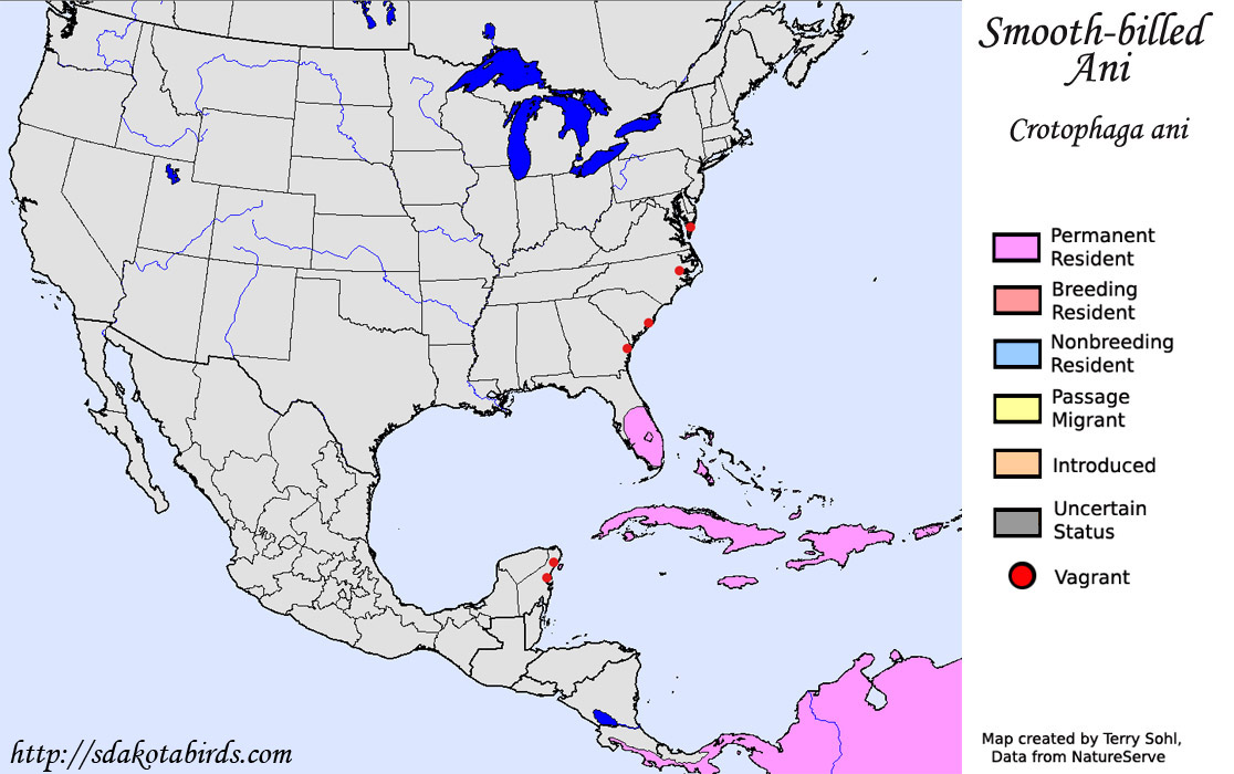 Smooth-billed Ani - North American Range Map