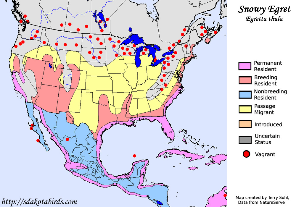 Snowy Egret - Range Map